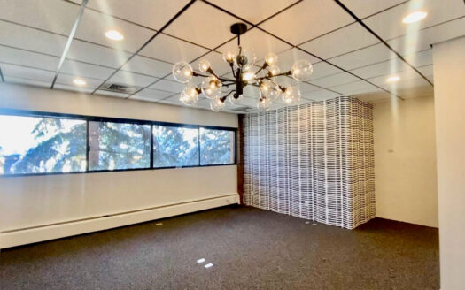 225 North Mill Street #201 Small Office Space