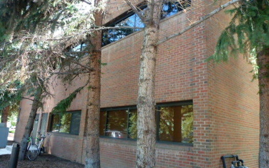 225 North Mill #210 Office Space