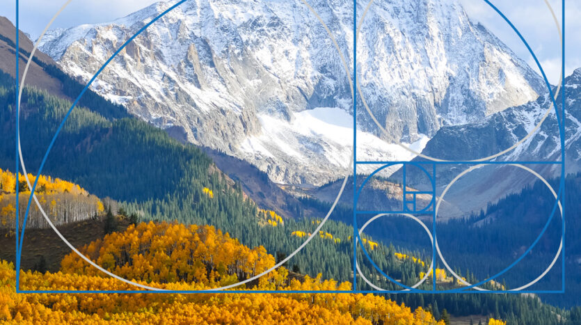The Golden Ratio and Business